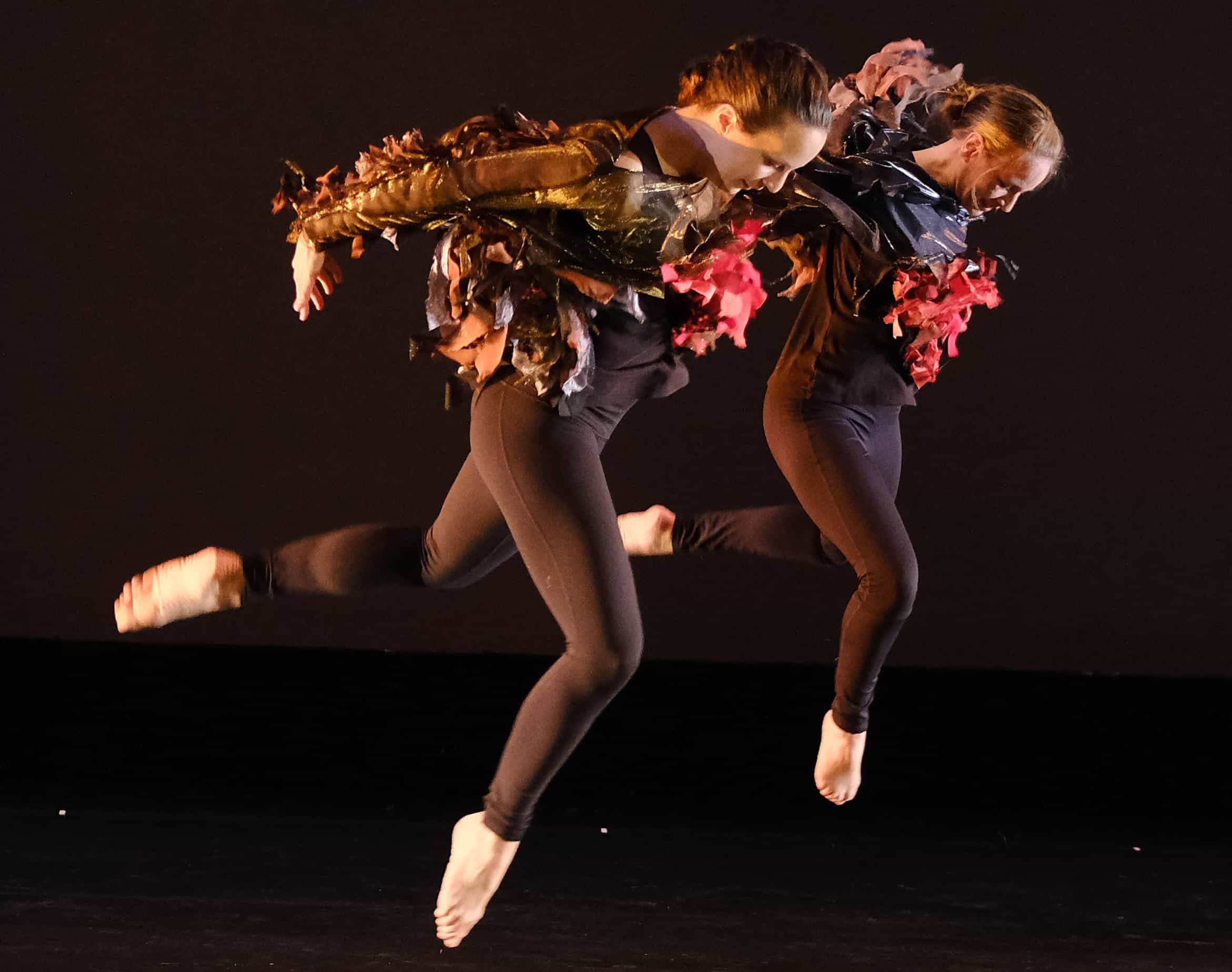 image from dance Nesting Robins