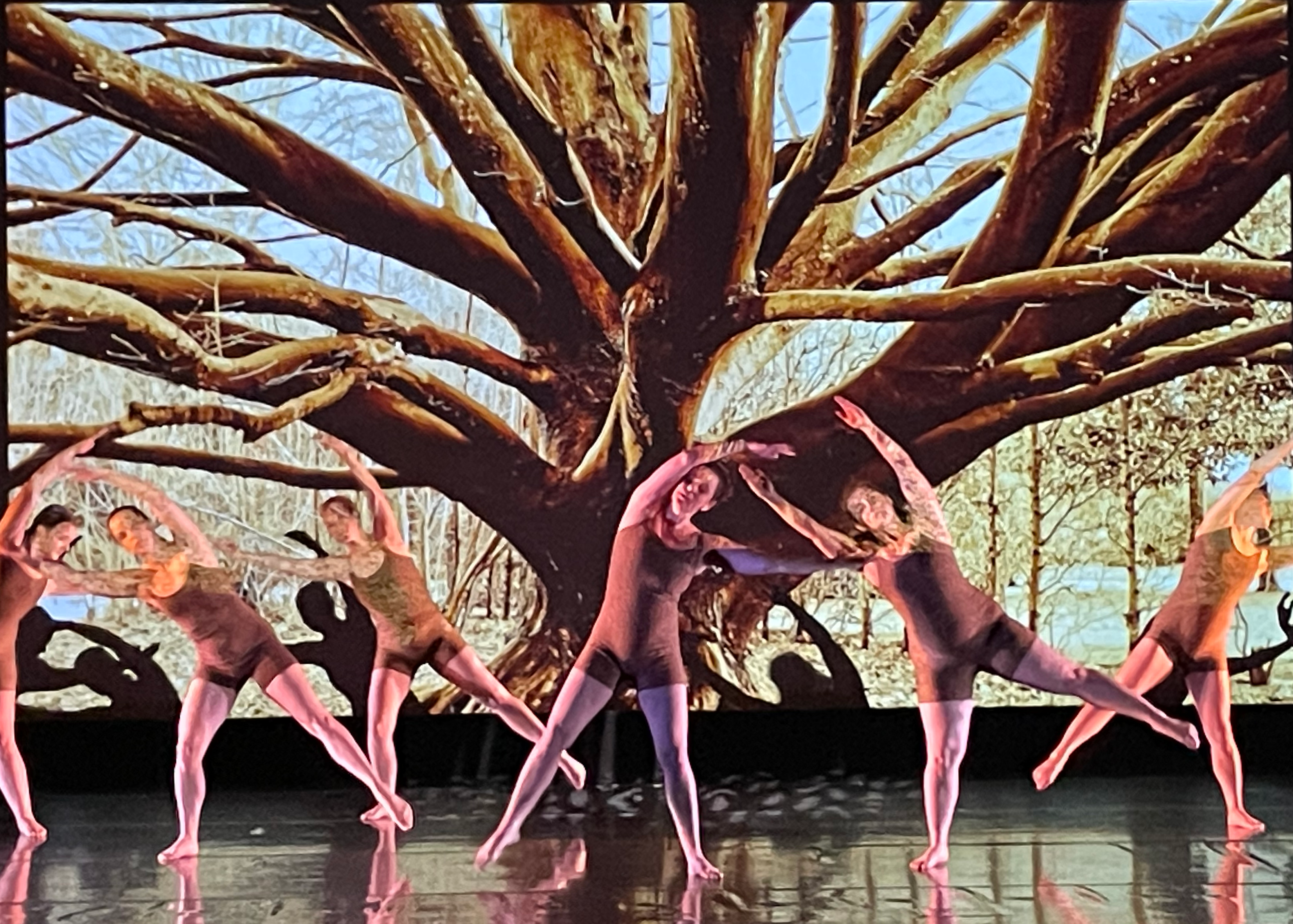 image from dance Seasons of Distance