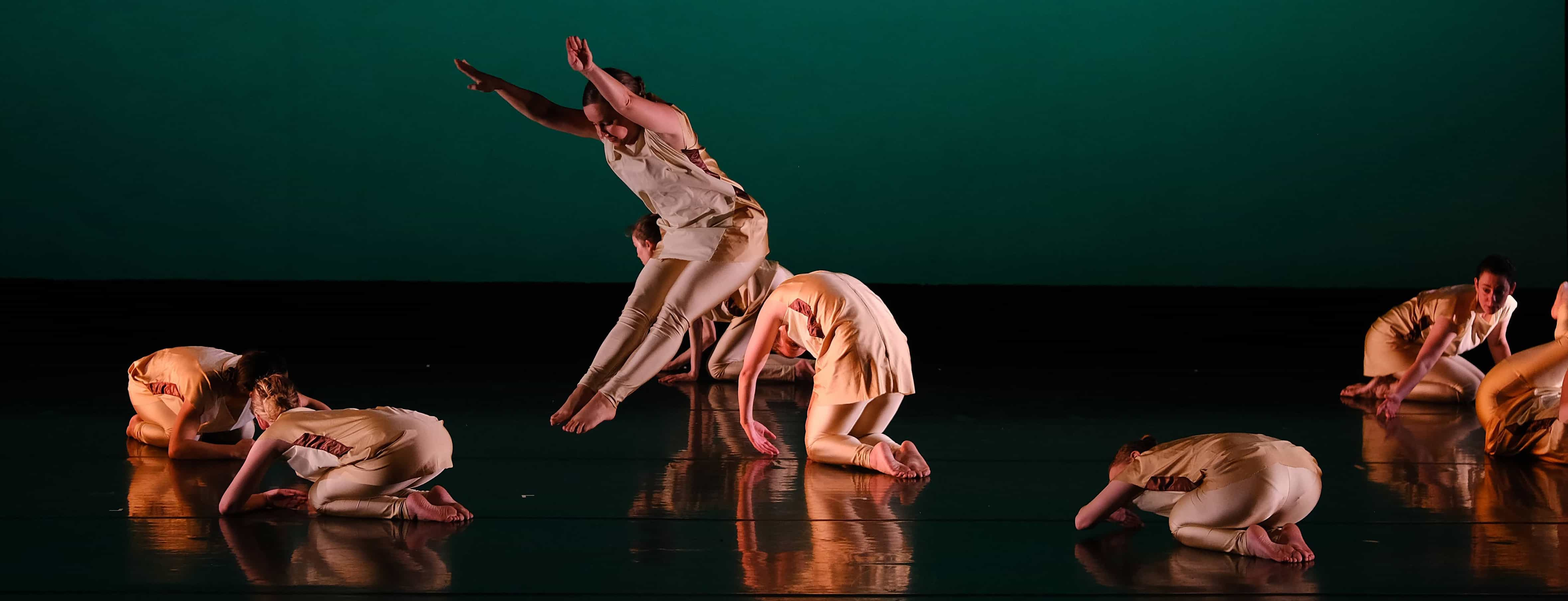 image from dance Springbok